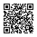 QR LEBENSBAUM GRUEN TEE MEISTERWE