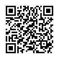 QR DIEM LESEBR ACT MINT 2.0