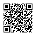 QR DIEM LESEBR ACT MINT 3.0