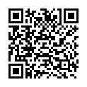 QR OMIDA SAMBUCUS NIGRA GLOB