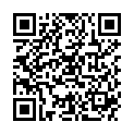 QR BIBI KINDERLAUF UND SCHUTZGURT