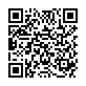 QR MEDELA PERS FIT FLEX BRUSTHA S