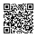 QR MEDELA PERS FIT FLEX BRUSTHA L