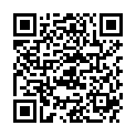 QR SONY HOERGERAETBATT ZINCA 312D