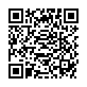 QR INCIDIN ALCOHOL FLCHENDESINFEK