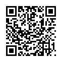 QR INWOLINO QUITSCHRASSEL KATZE