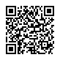 QR LOUIS XIII REINIGUNSSTAHLWOLLE