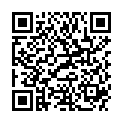 QR LOUIS XIII STAHLWOLLE EXTRAFEI