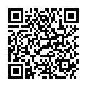 QR LOUIS XIII STAHLWOLLE ABBEIZEN