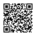 QR BORT STABILO COL HAFT 10CMX5 S