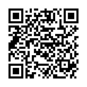 QR CHICCO LUSTIGE RASSELBANDE ELE