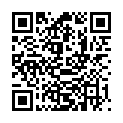 QR HESALIN LEDERPFLEGE FL