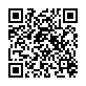 QR HERBORIST LICHTZAUBER TEE