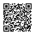 QR BRAUN VERBINDSTK LOCK MAEN 1,5