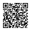 QR HERBORIST FESTTAGSTEE