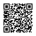 QR HERBA SCUNCI 11CM SAMT BRAUN