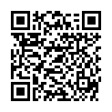 QR BORT STABILO COL ELBDE 8CMX5M