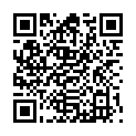 QR OMIDA ZINCUM METALLICUM GL