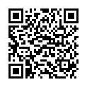 QR BORT STABILO COL HAFT 8CMX5 SC