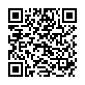 QR HERBORIST TEE WILDFRUCHT