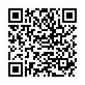 QR MISSLYN MICROFILE M153.04