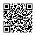 QR BORT STABILO COL HAFT 6CMX5 SC