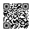 QR Sanotint Faerbepinsel