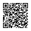 QR INVISIBOB HAARGUM ORIG BRAUN