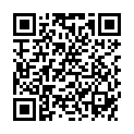 QR BERGHOF KIRSCH ALTSILBER 40%