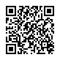 QR IHEALTH LANZETTEN 28G