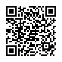 QR STAHLWOLLE 2 FEINGROB