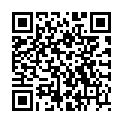 QR STAHLWOLLE 1 MITTELFEIN