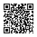 QR SANITEX SCHUHUEBERZUEGE BLAU