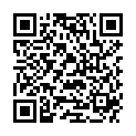 QR ISSRO BIRNEN HALBE AKT