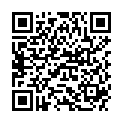 QR BORT STABILO COL HAFT 4CMX5 OR