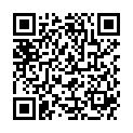 QR LAMPE BERGER PAPIERTEST STREIF