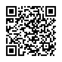 QR PANASONIC BATTERIEN AAA LR03