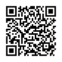 QR BORT STABILO COL ELBDE 4CMX5M