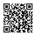 QR BORT STABILO COL ELBDE 4CMX5M