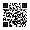 QR DO ZINCUM METALLICUM 30K DOS