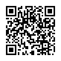 QR BORT STABILO COL ELBDE 4CMX5M