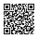 QR BORT STABILO COL ELBDE 4CMX5M