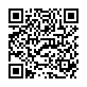 QR MORGA PFEFFERMINZ TEE GESCHNIT