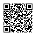 QR PARI LL DUESENREINIGER