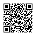 QR LAMPE BERGER PARF TEST BOIS OR