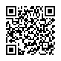 QR HTM CHIC IN SCHALE BLA/GRU/GEL