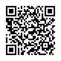 QR HOLLE POUCHY APFEL HEIDELB DAT