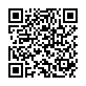 QR KIEPE FEILE MIT KUNSTSTOFFGRIF