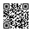 QR BZ HAARGUMMI SCHWARZ