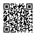 QR Lansinoh Muttermilchbeutel 25 штук